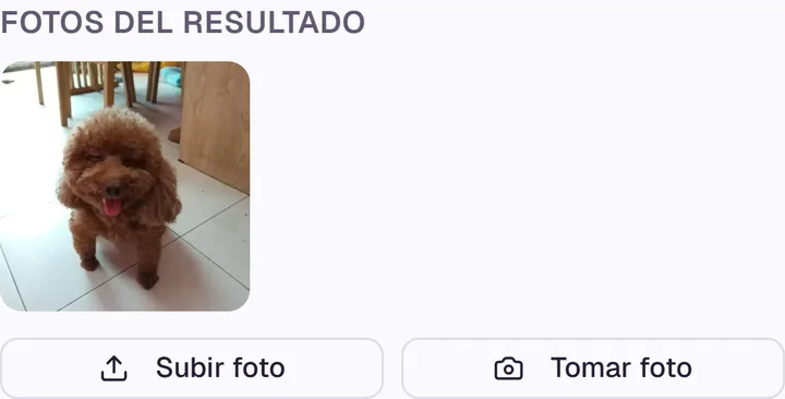 Fotos del resultado de un corte, con los botones para subir o tomar una foto